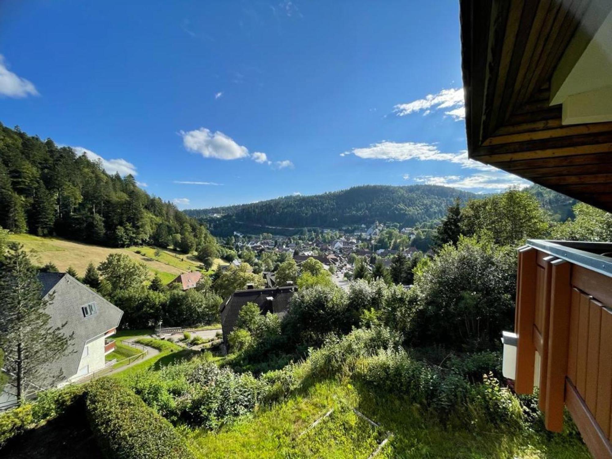 Panorama Apartment Todtmoos Εξωτερικό φωτογραφία